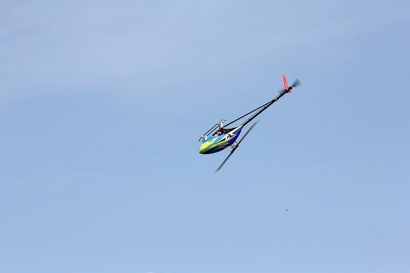 IMG_3291-800.jpg