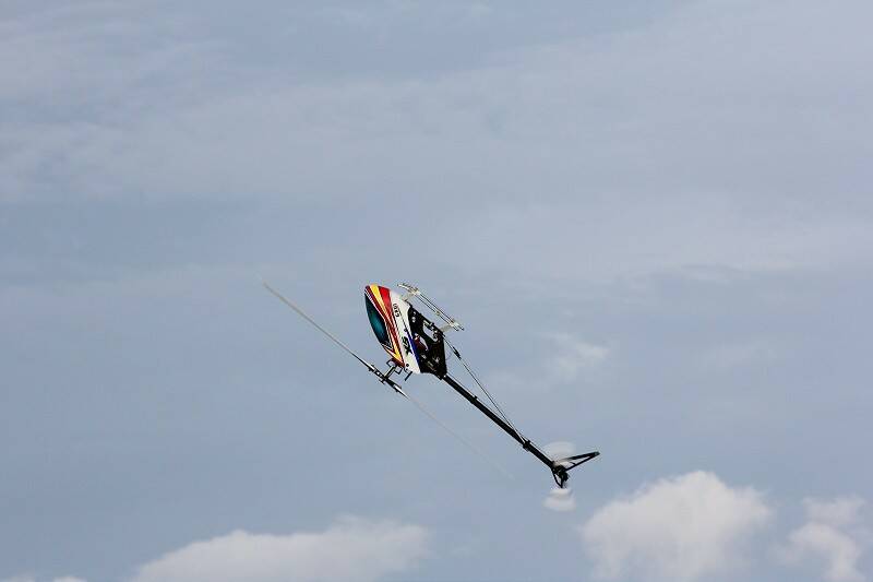IMG_3515-800.jpg