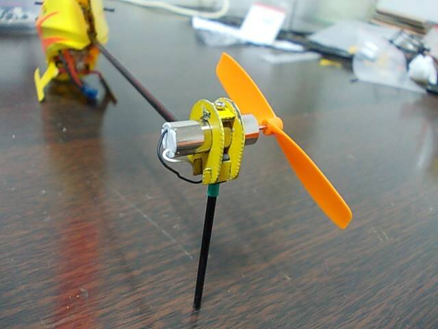 DSCN2556.JPG