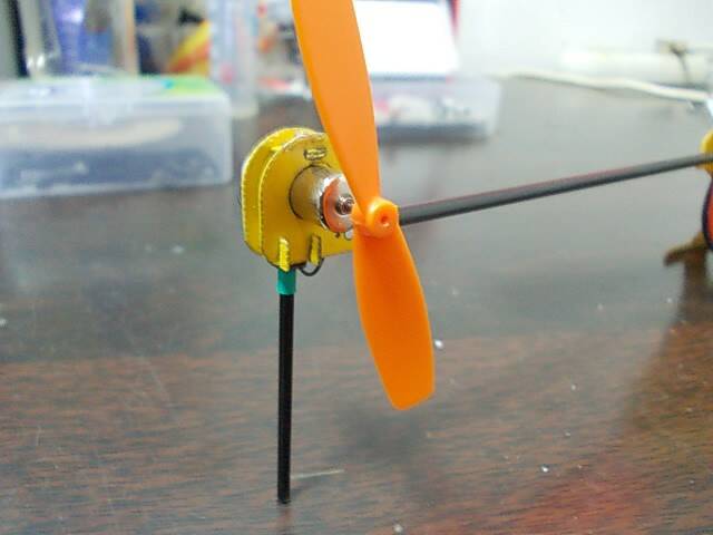 DSCN2557.JPG