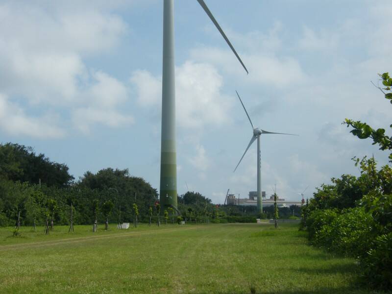 DSCF6994.JPG