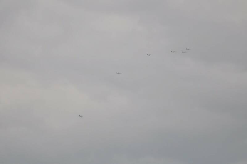 2012 097_調整大小.jpg