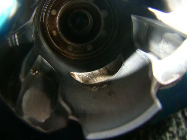 010.JPG