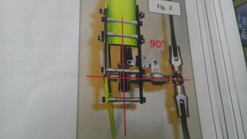 IMAG0347.jpg