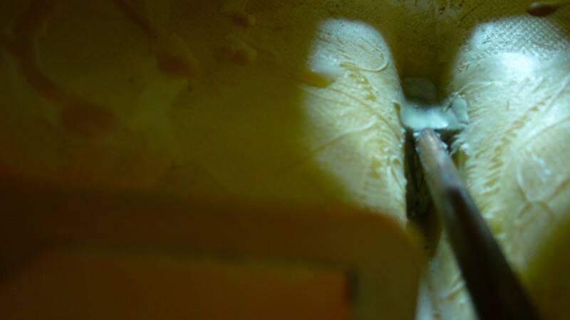 P1010142.JPG