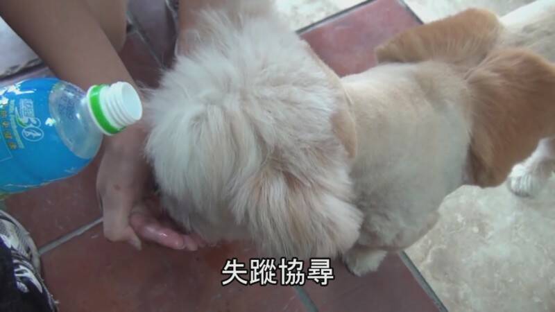 112118697[19-19-34].JPG