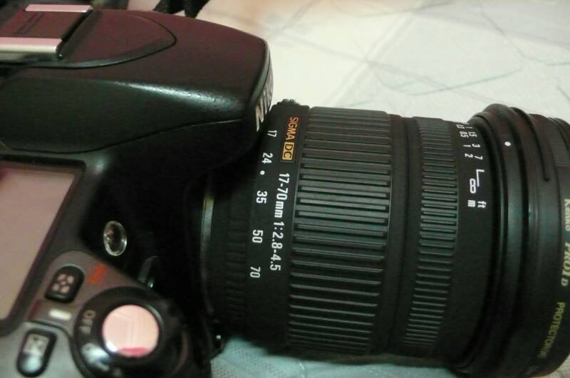 P1060047.JPG