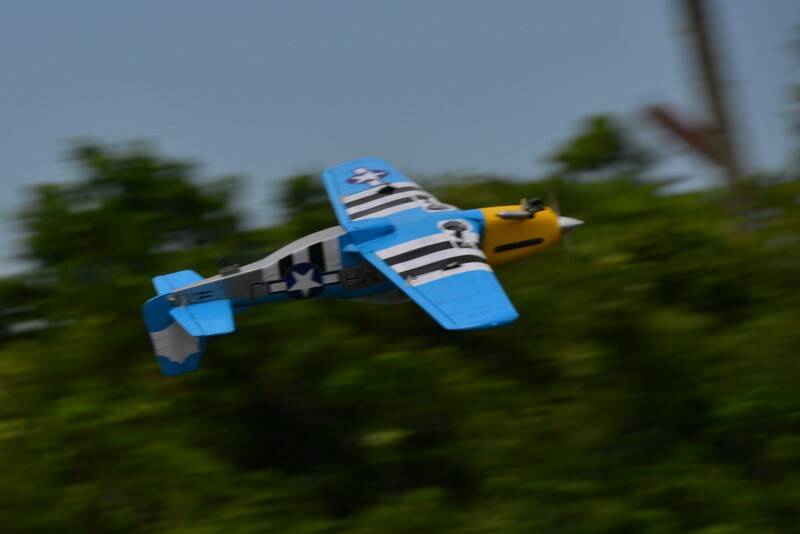 DSC_3369.JPG