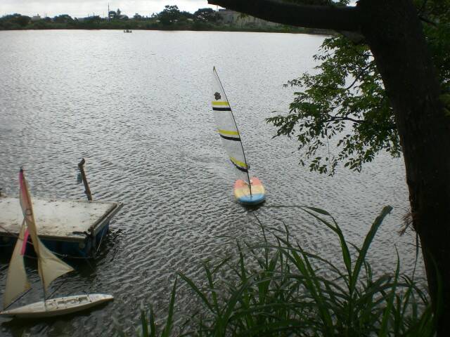 CIMG5713.JPG