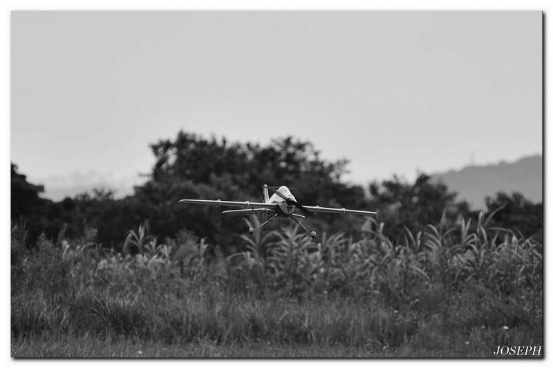 DSC_3484.JPG