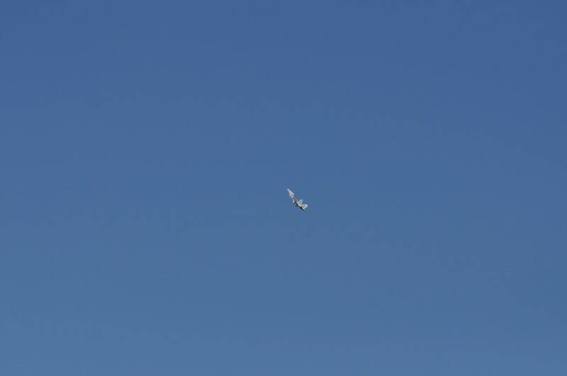 2012 160_調整大小.jpg