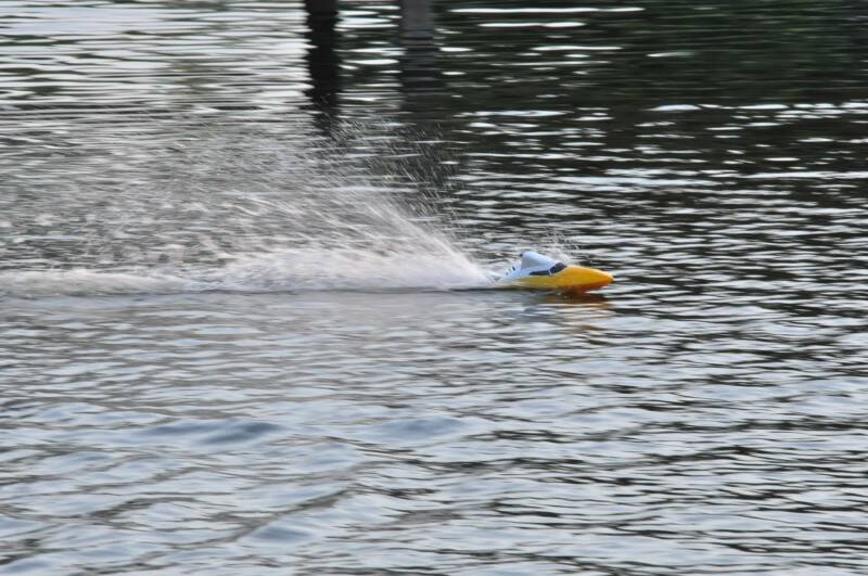 DSC_3337.JPG
