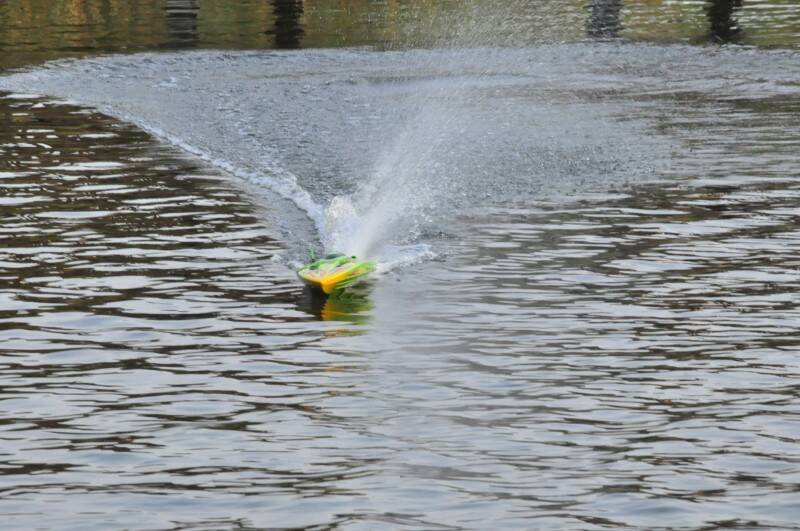DSC_3331.JPG