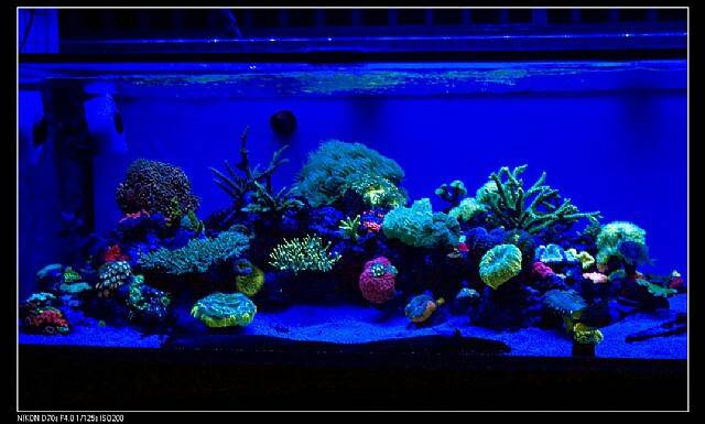 PH84_F_15_100921013940_1.JPG