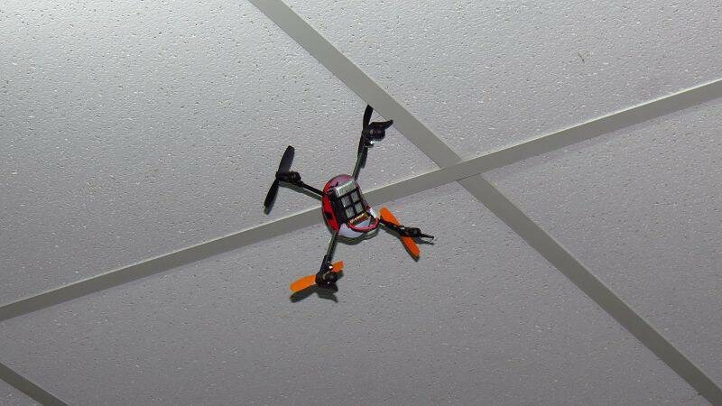 IMG_1321.jpg