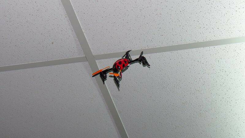 IMG_1320.jpg