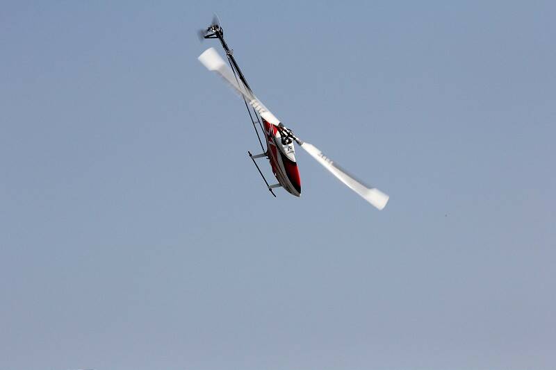IMG_4456-800.jpg