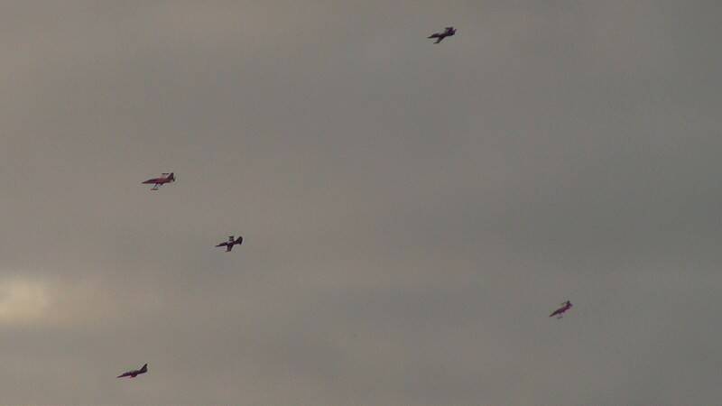 DSC06165-800.jpg