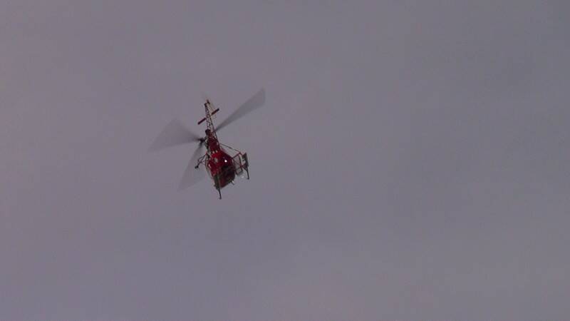 DSC05998-800.jpg