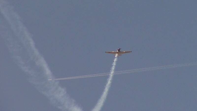 DSC06846-800.jpg