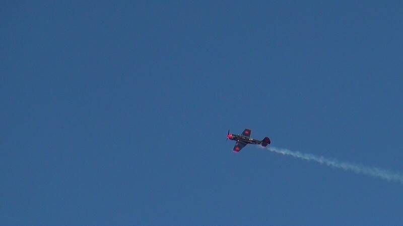 DSC06753-800.jpg