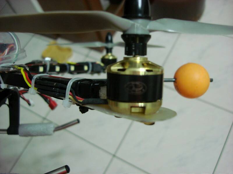DSC02881-800.jpg
