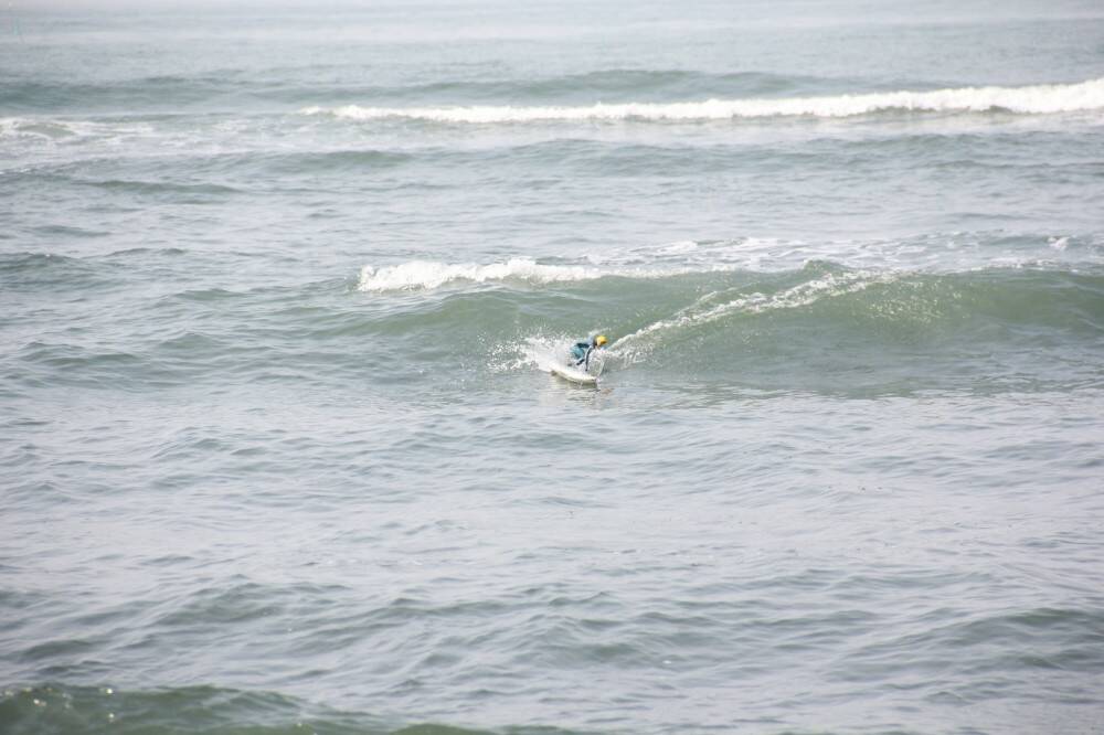 IMG_6517.JPG