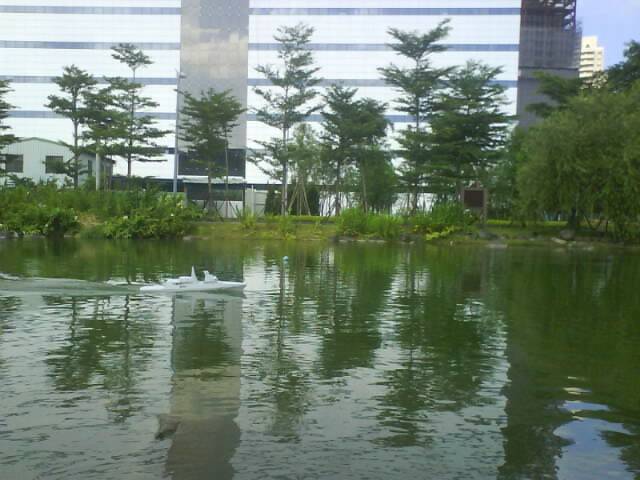 DSC06814.JPG