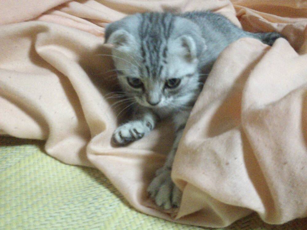 照片 080.jpg