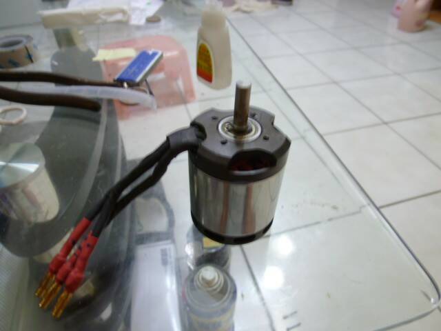 P1000754.JPG