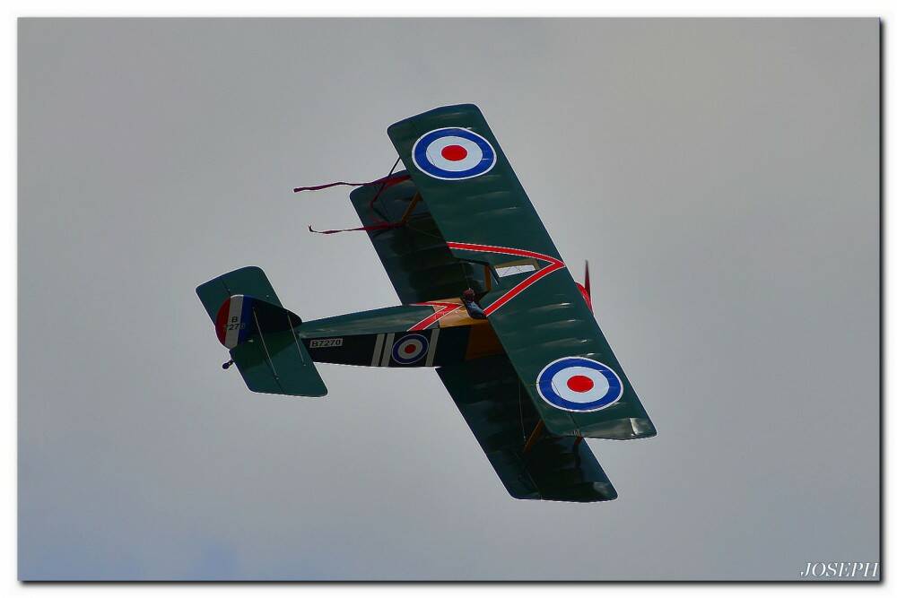 DSC_4265.JPG