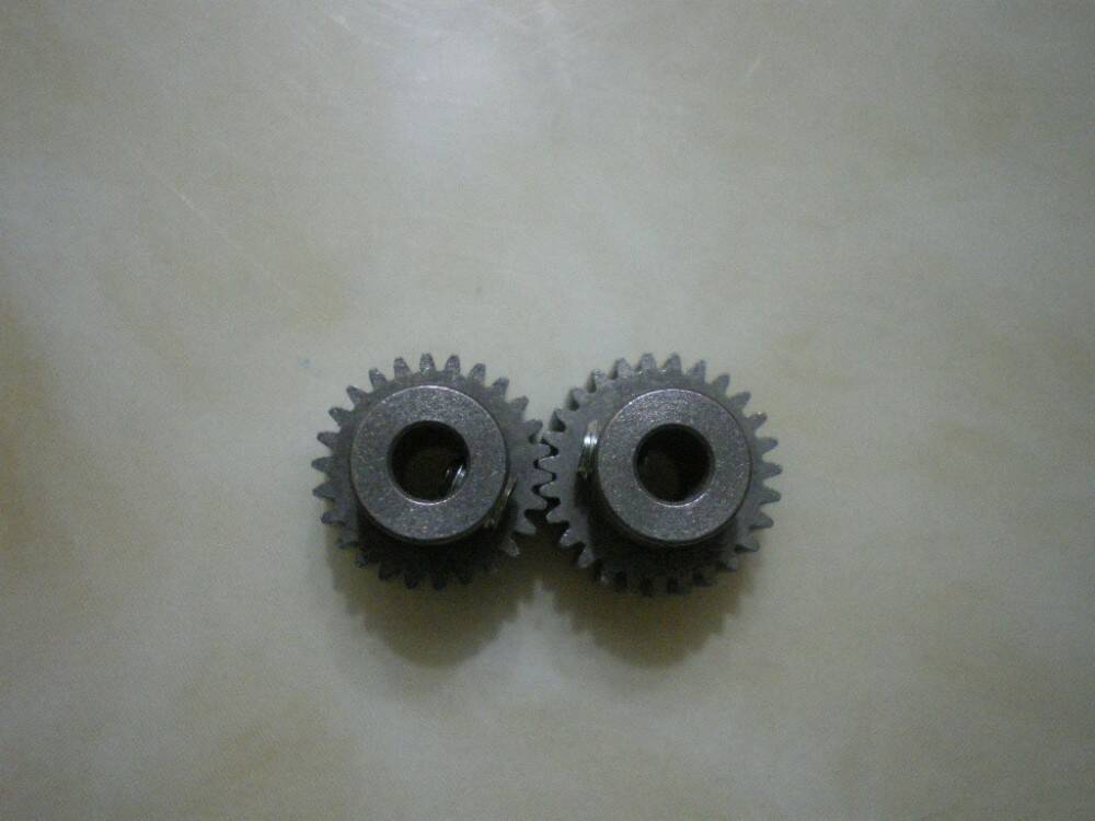 IMGP3981.JPG