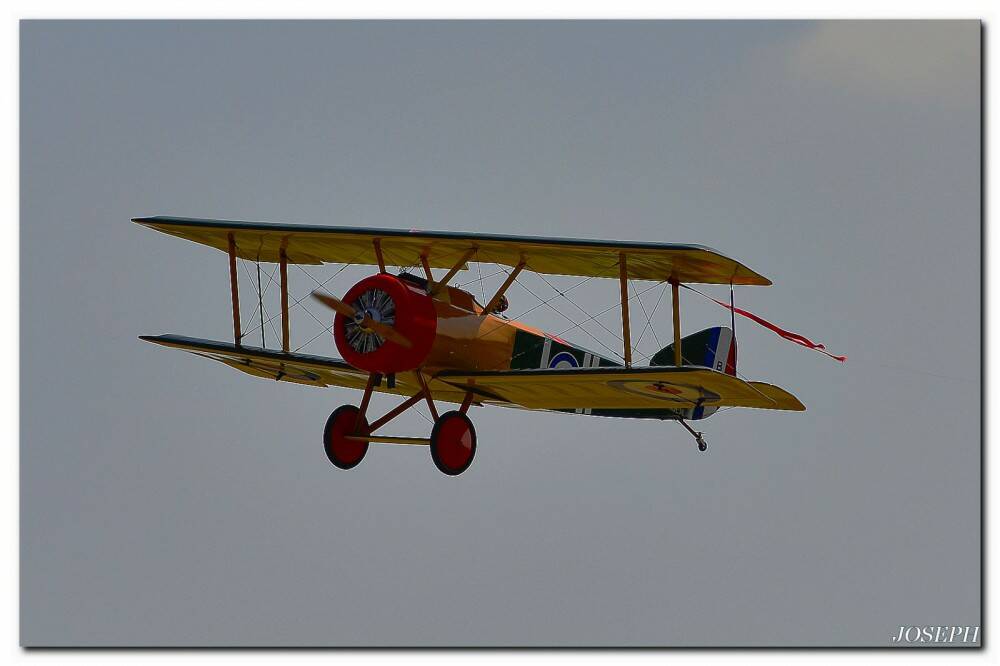 DSC_4610.JPG