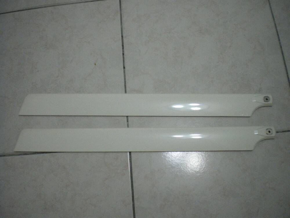 IMGP4008.JPG