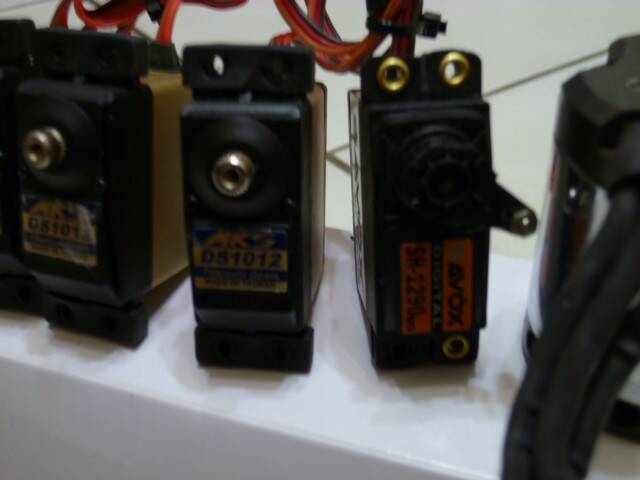 P1000761.JPG