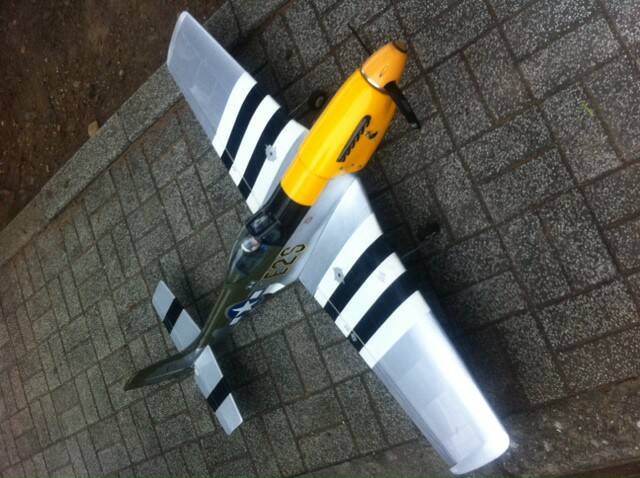 p513.JPG