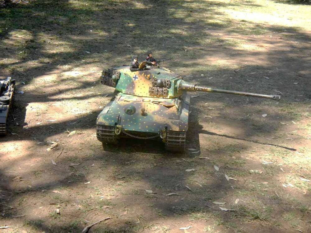 1-6 Tiger 2-645.jpg