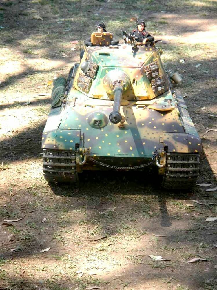 1-6 Tiger 2-643.jpg
