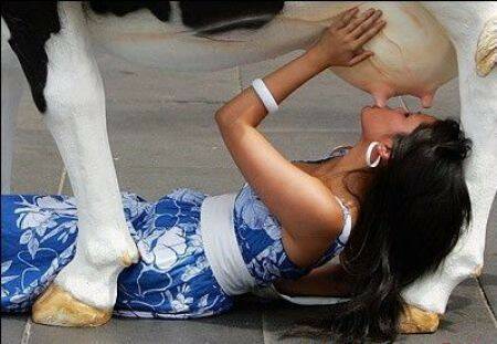 20120413_e1b732cc990974b4a1e2fkMbKRadNhDA.jpg
