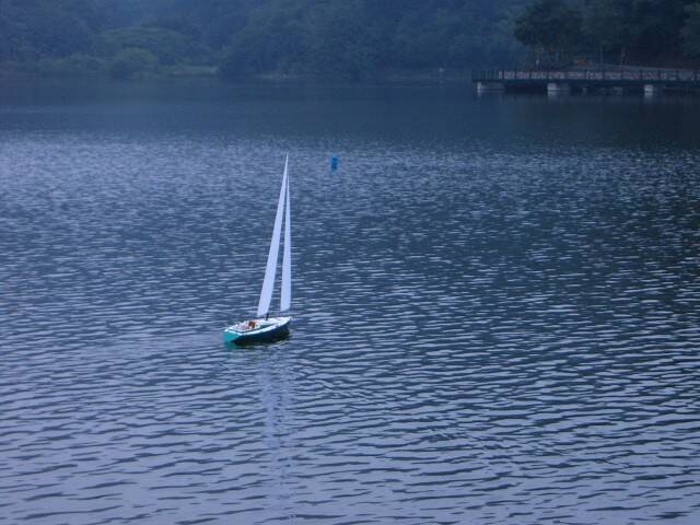S3702460.JPG