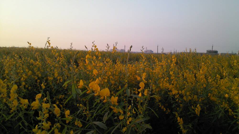 2012-11-02 17.02.00.jpg