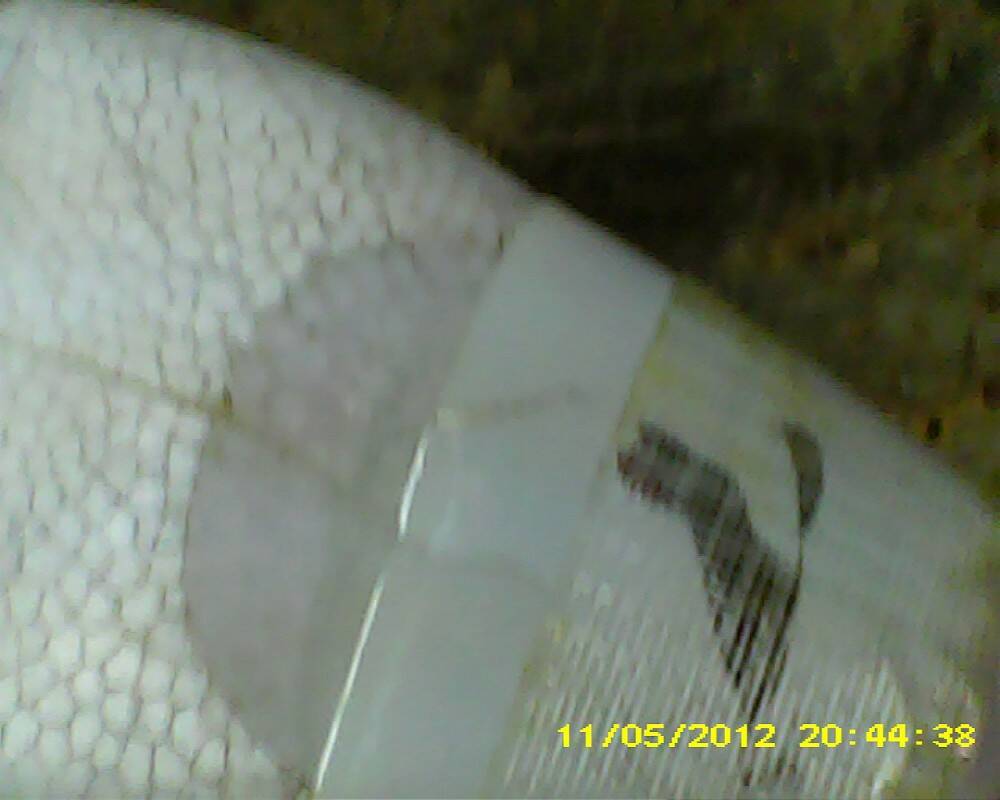 PICT0004-1000.jpg