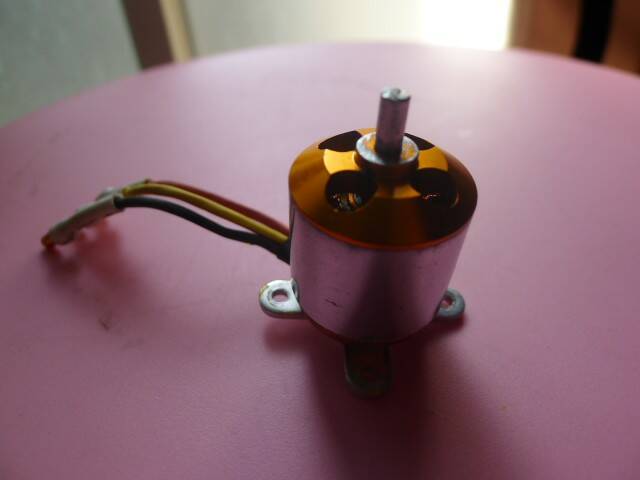 P1010028.JPG