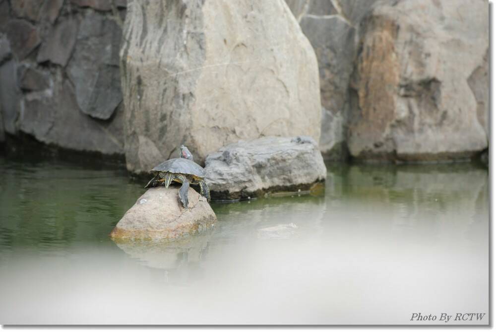 Photo By RCTW 15.jpg