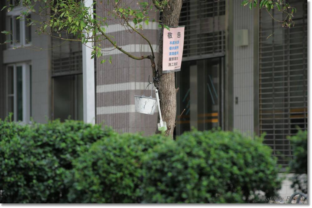 Photo By RCTW 12.jpg