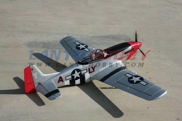P51.jpg