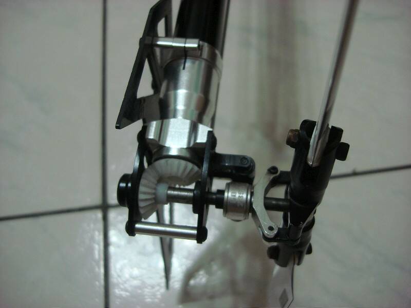 DSC02986-800.jpg