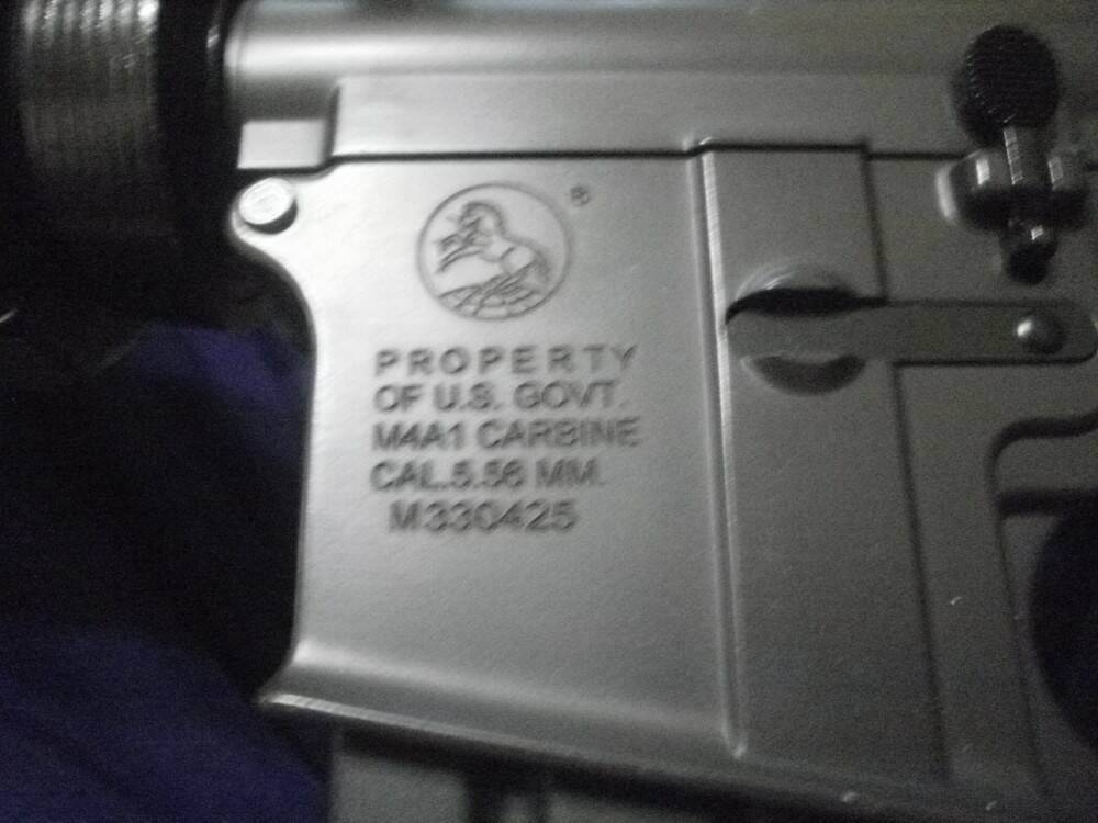 PB280250.JPG