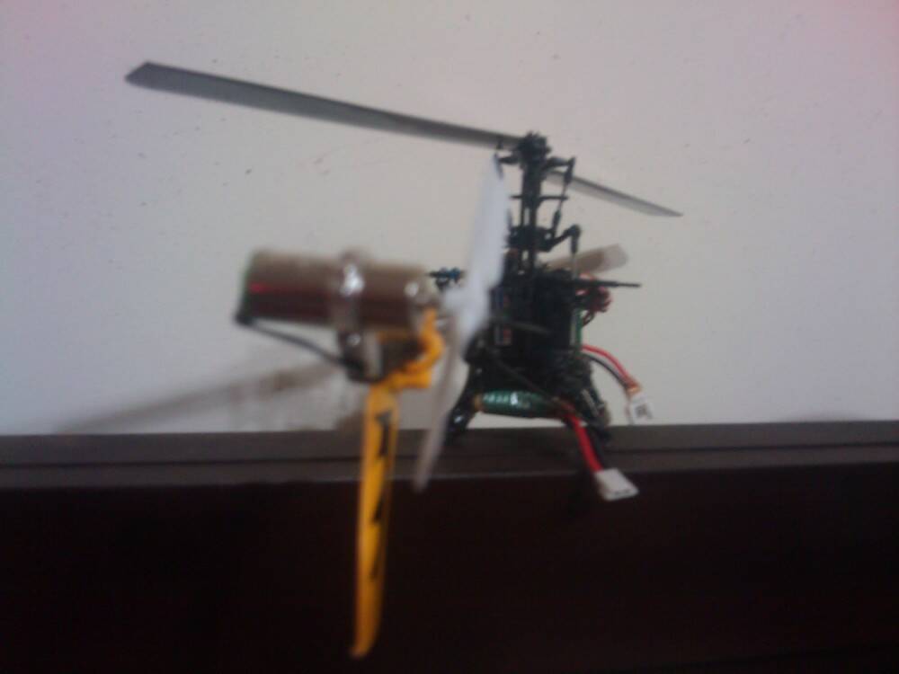 IMAG_0091.jpg