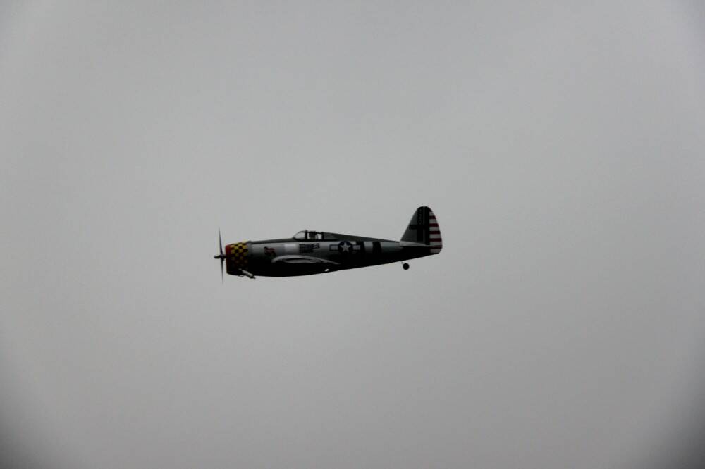 IMG_7908.JPG